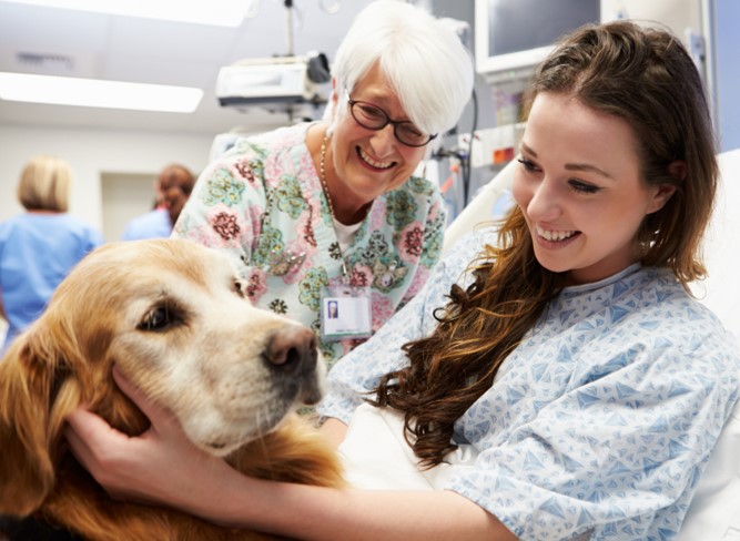 Pet Therapy at Tanner